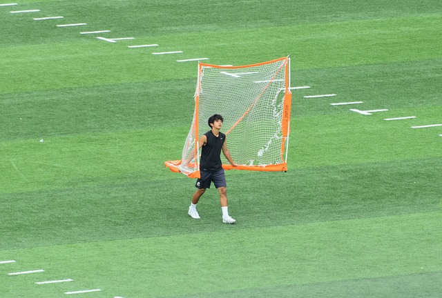 疑是近年来