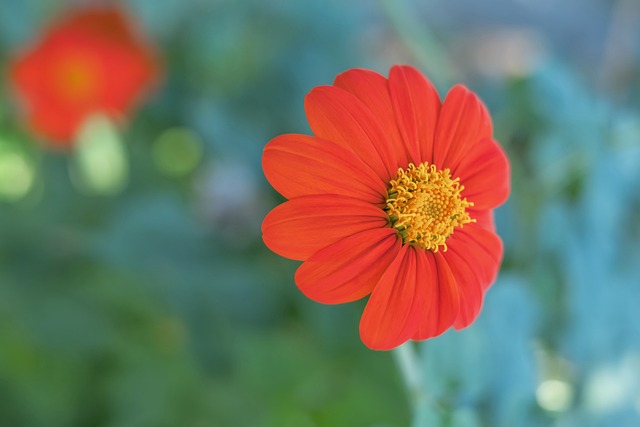 前来参观 前来参观