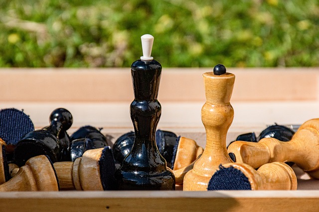 项国际赛事 项国际赛事