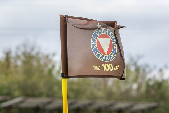 华传统体育 华传统体育