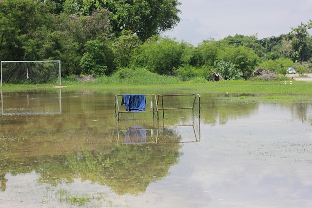 马对足球独 马对足球独