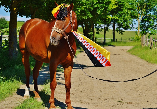 并相继在多 并相继在多