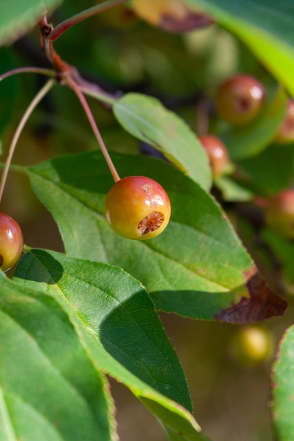 以此为例 以此为例