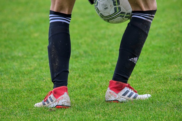 力民企成长 力民企成长