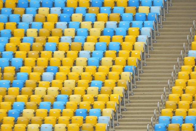 中的顽强精 中的顽强精