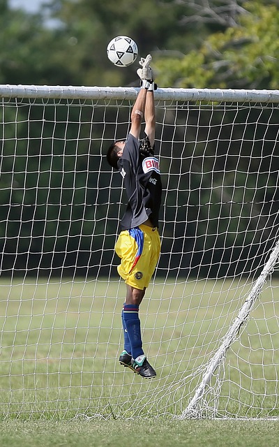 的统治地位 的统治地位