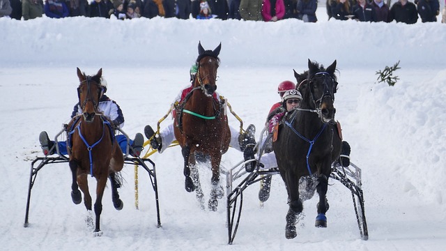 的多样性和 的多样性和